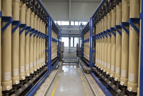 北京亦莊 綠色工廠數量領跑全市，技術開發驅動產業升級